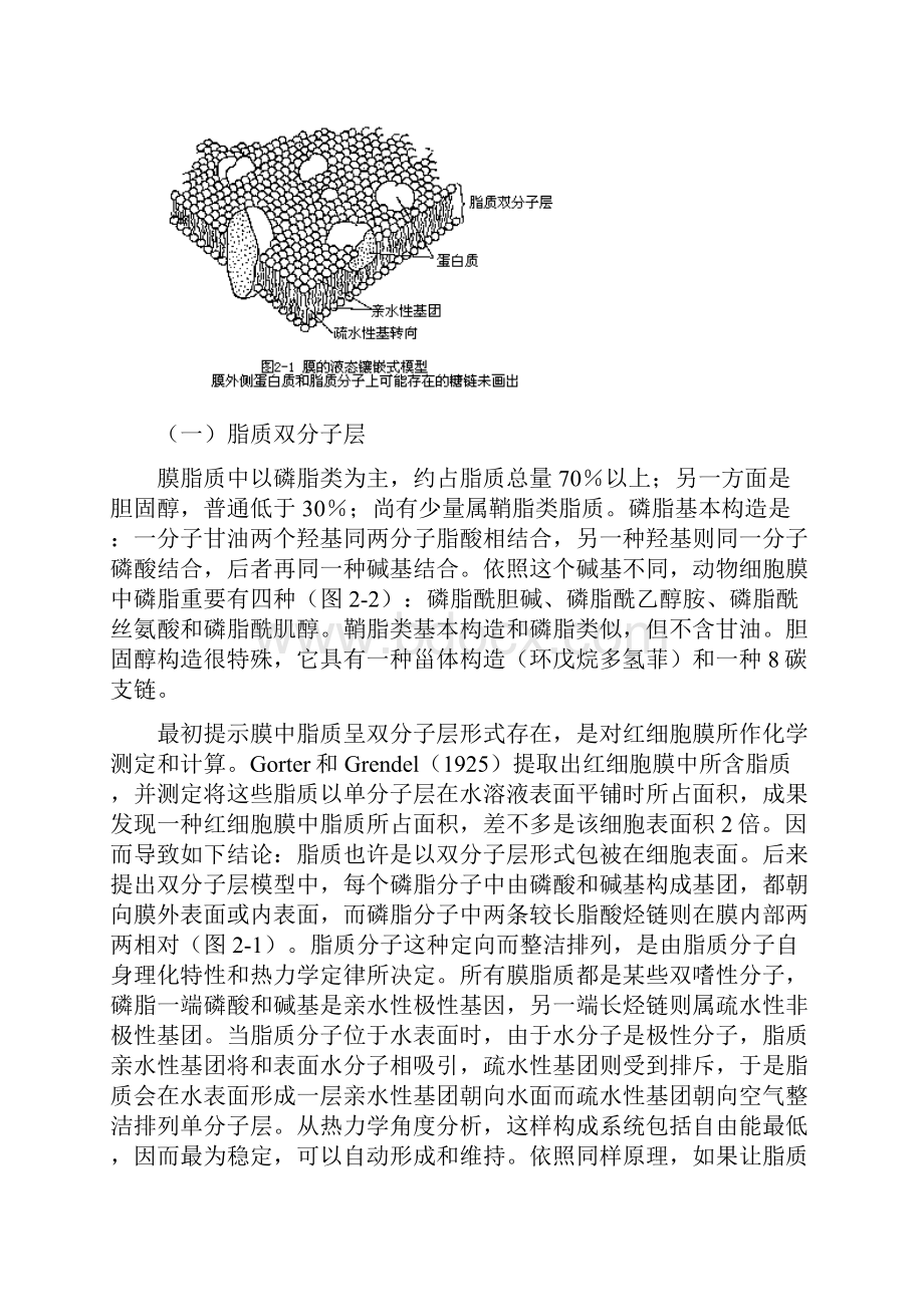 生物竞赛复习资料文档格式.docx_第3页