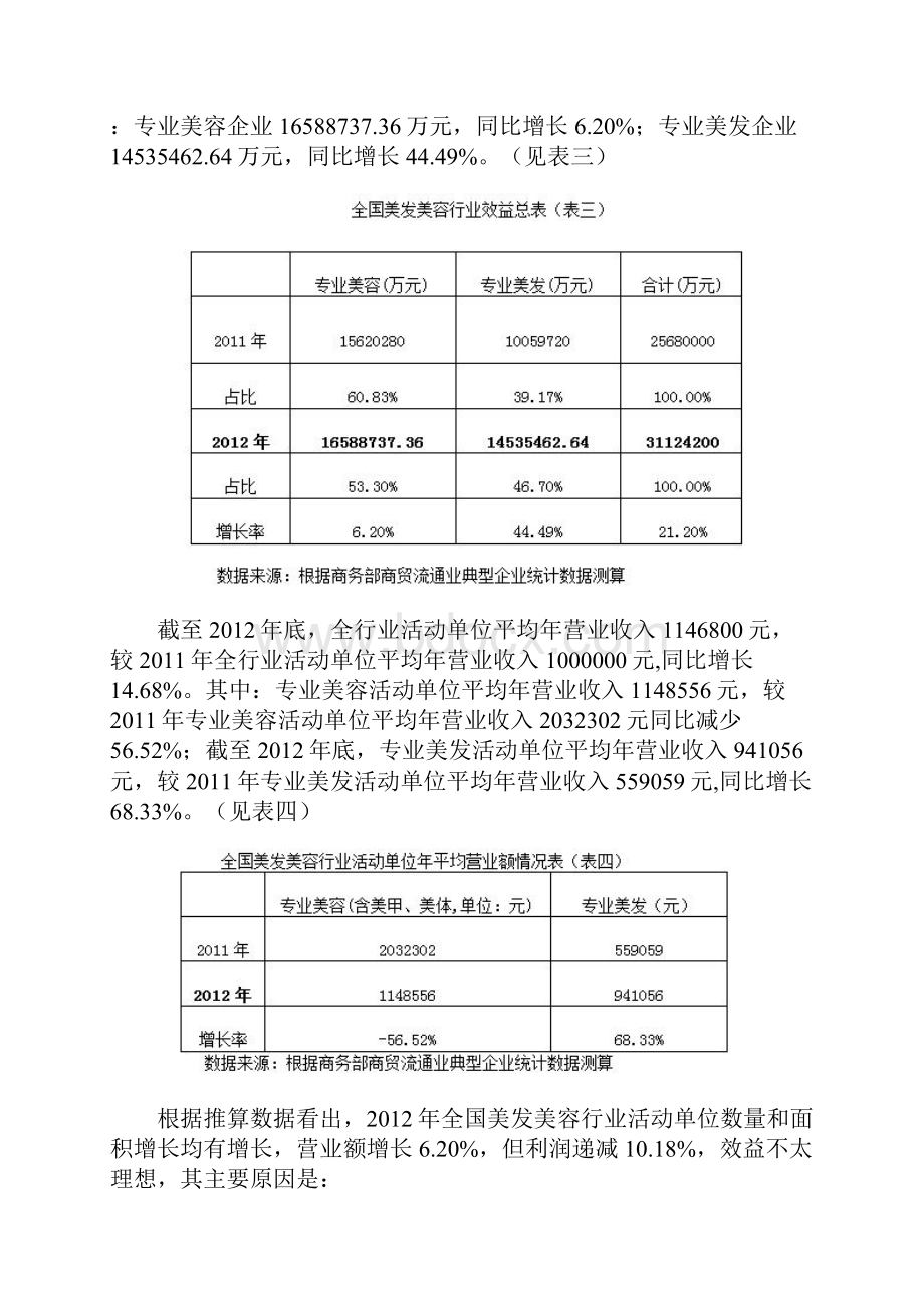 美发美容行业统计分析报告.docx_第3页