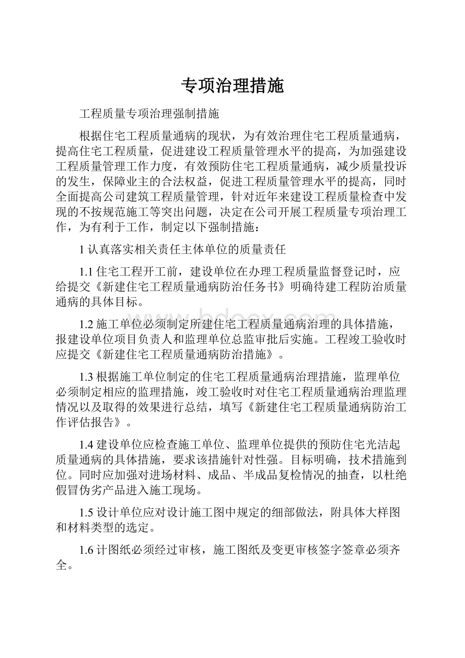 专项治理措施文档格式.docx