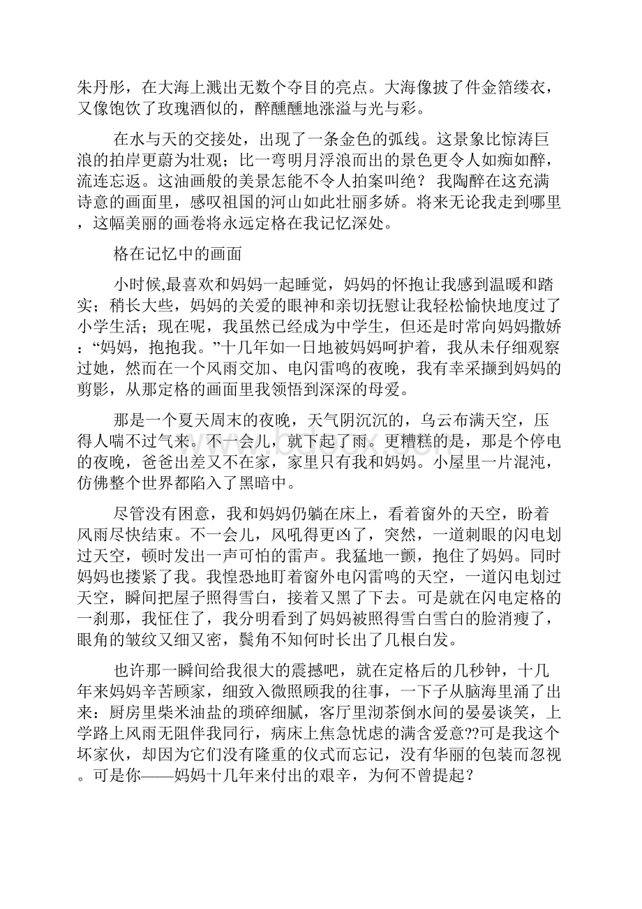 定格作文之定格在记忆中的画面作文600.docx_第3页