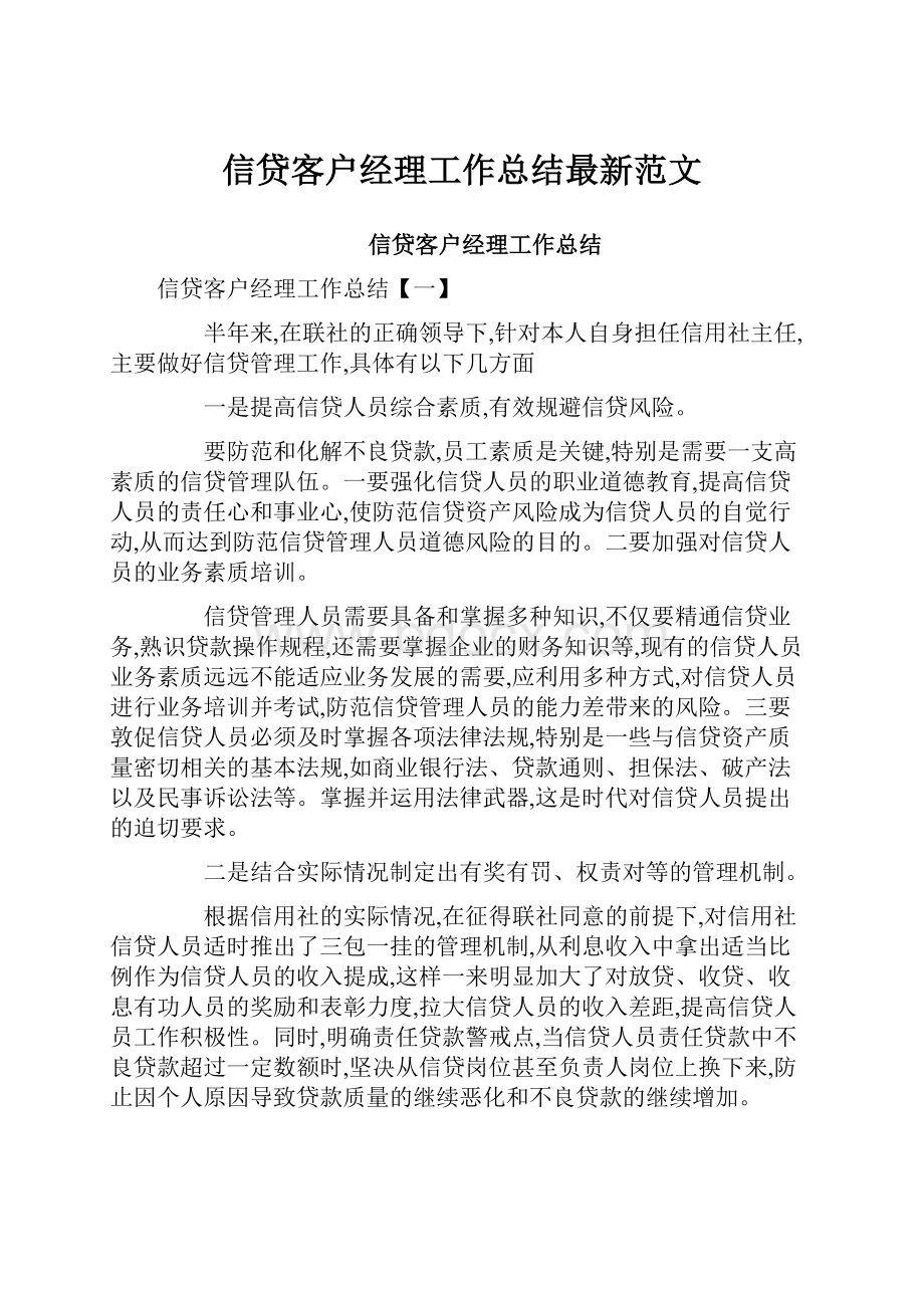 信贷客户经理工作总结最新范文Word格式.docx