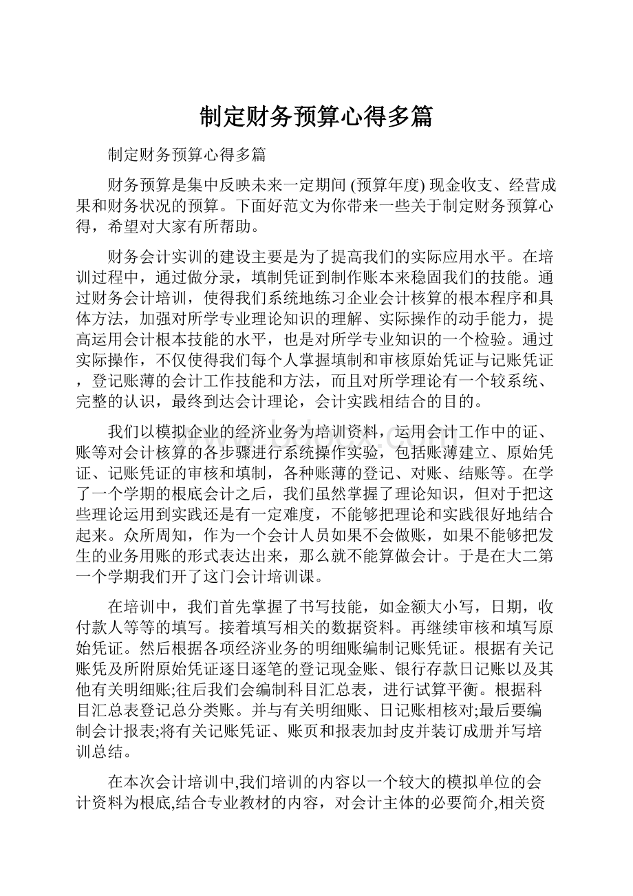 制定财务预算心得多篇.docx