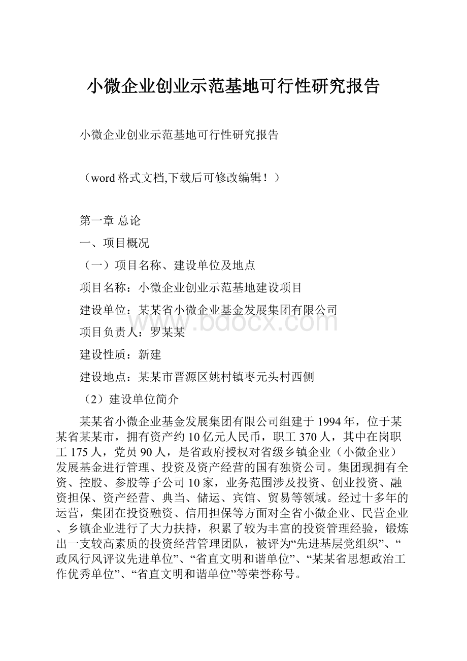 小微企业创业示范基地可行性研究报告Word文档格式.docx