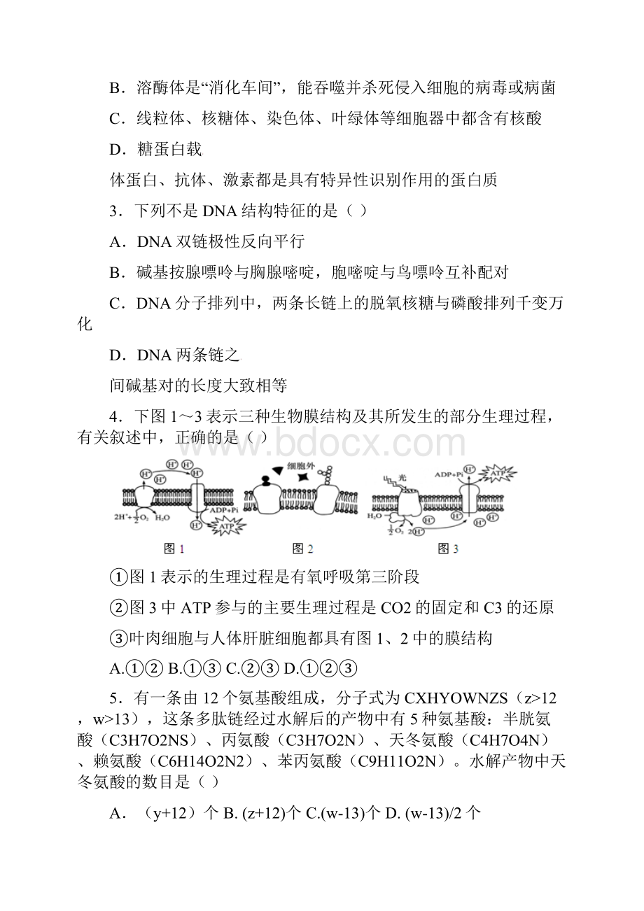 上海市普陀区届高三生命科学下学期质量调研试题.docx_第2页