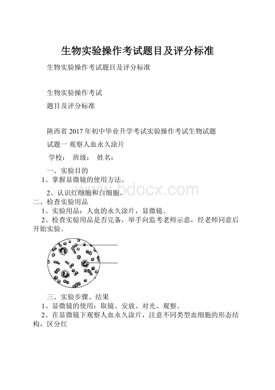 生物实验操作考试题目及评分标准.docx