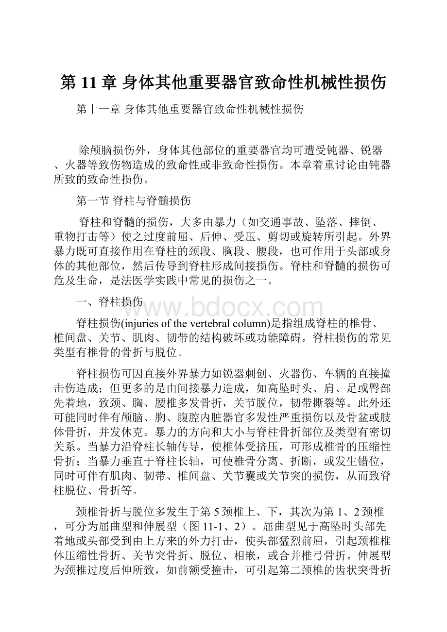 第11章身体其他重要器官致命性机械性损伤文档格式.docx