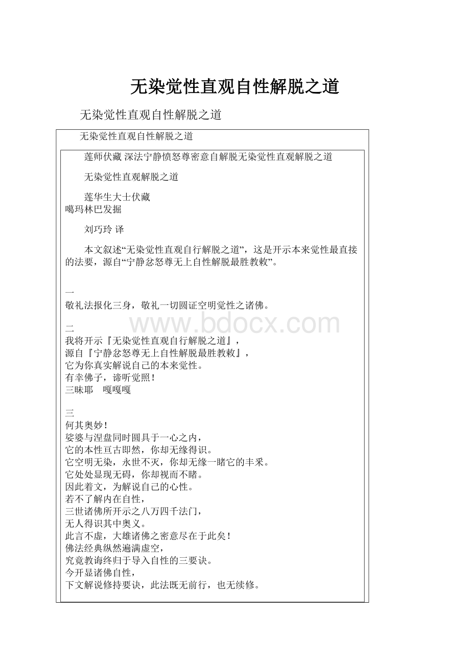 无染觉性直观自性解脱之道文档格式.docx
