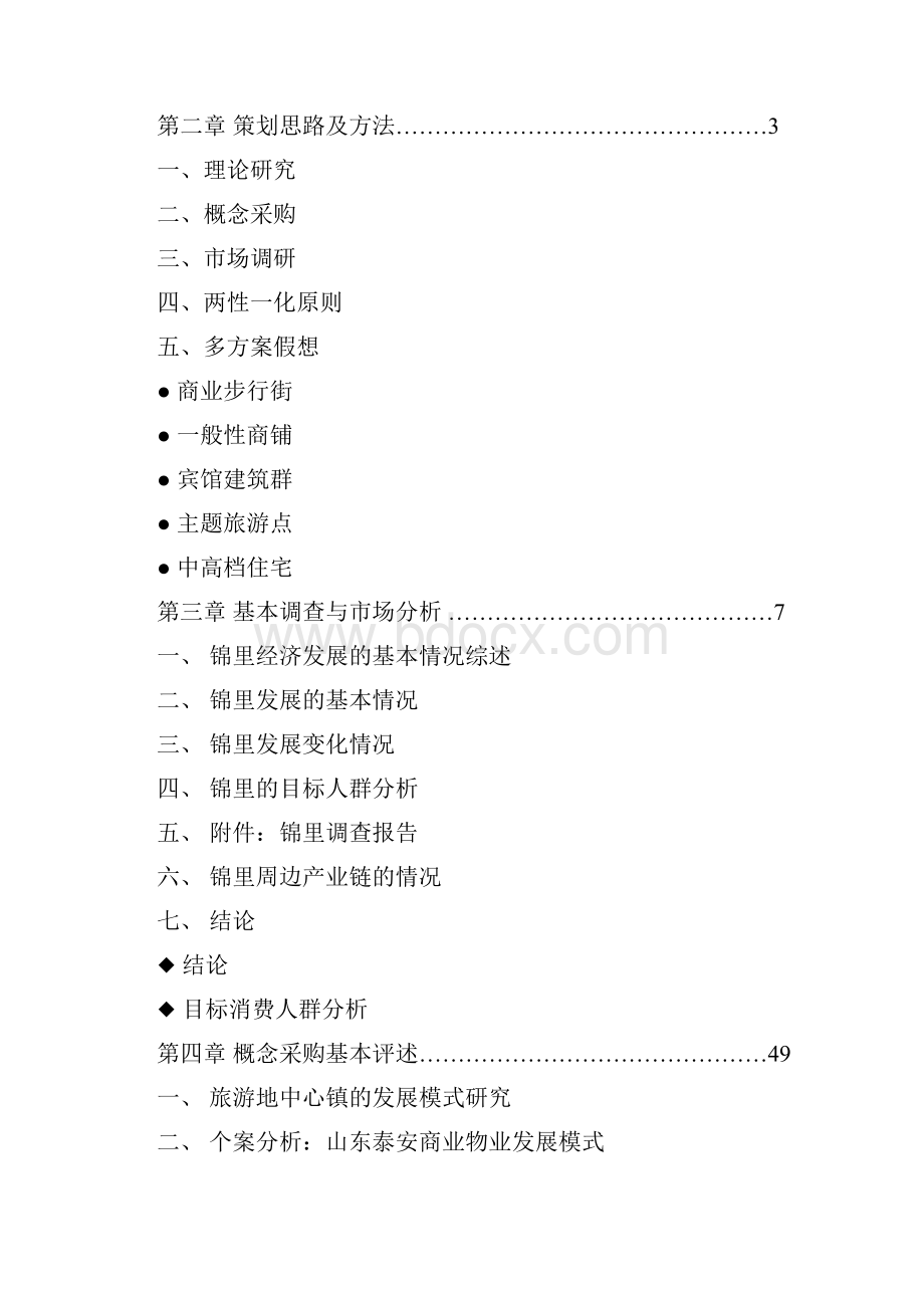 成都锦里商业街区策划方案.docx_第2页