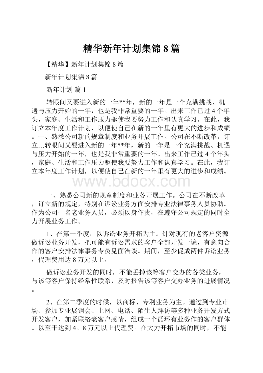 精华新年计划集锦8篇.docx_第1页