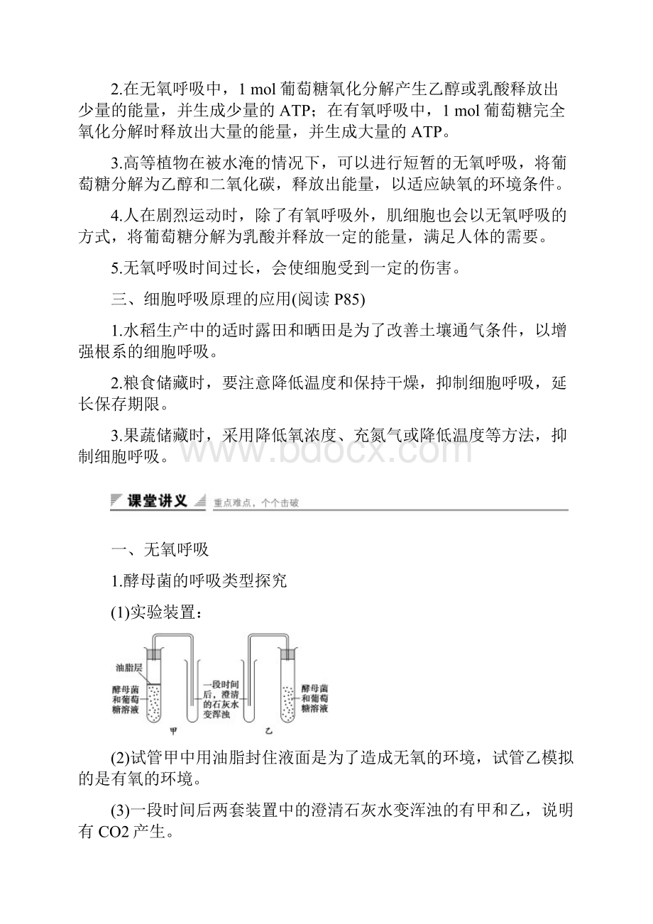 学年高中生物 432 无氧呼吸与细胞呼吸原理的应用课时作业 苏教版必修1.docx_第2页