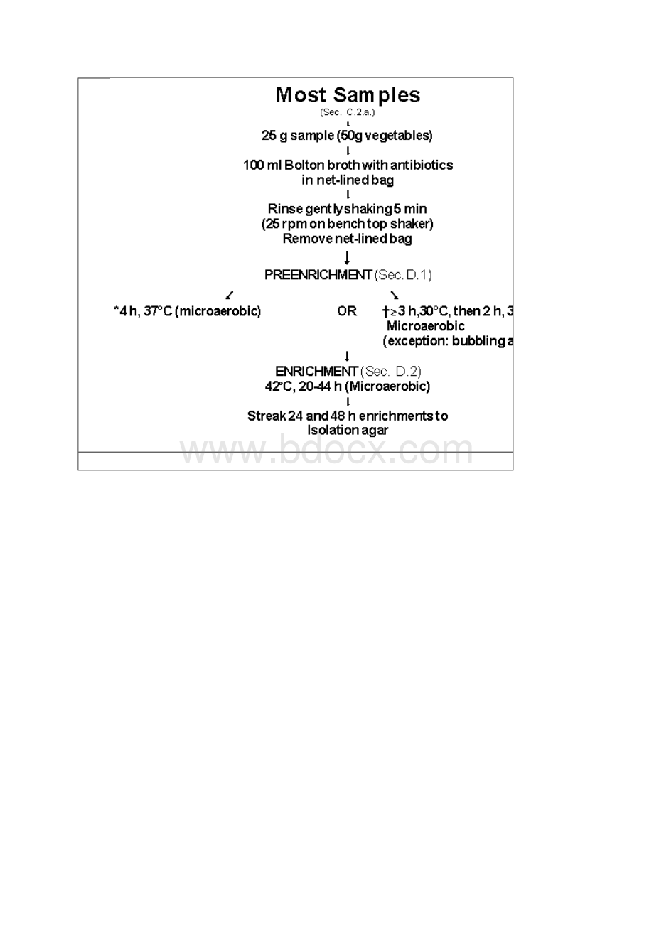 美国FDA细菌学分析手册第八版BAM弯曲菌Word文档下载推荐.docx_第3页