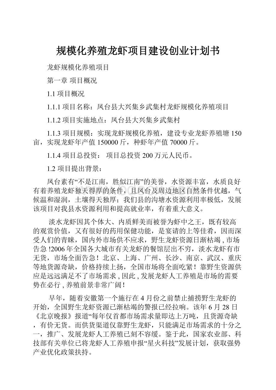 规模化养殖龙虾项目建设创业计划书文档格式.docx