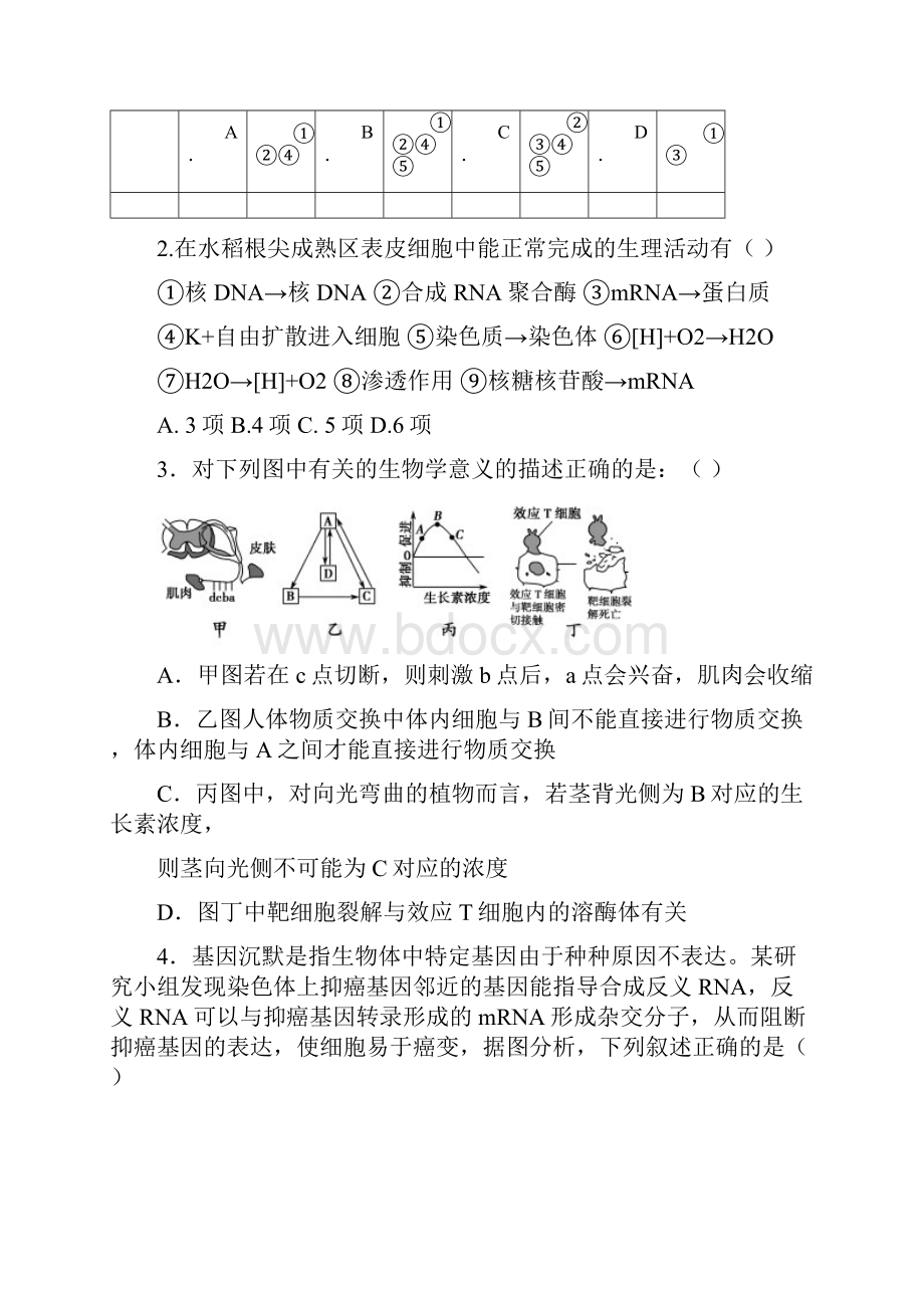 山师大附中高三第七次模拟考试理综试题.docx_第2页