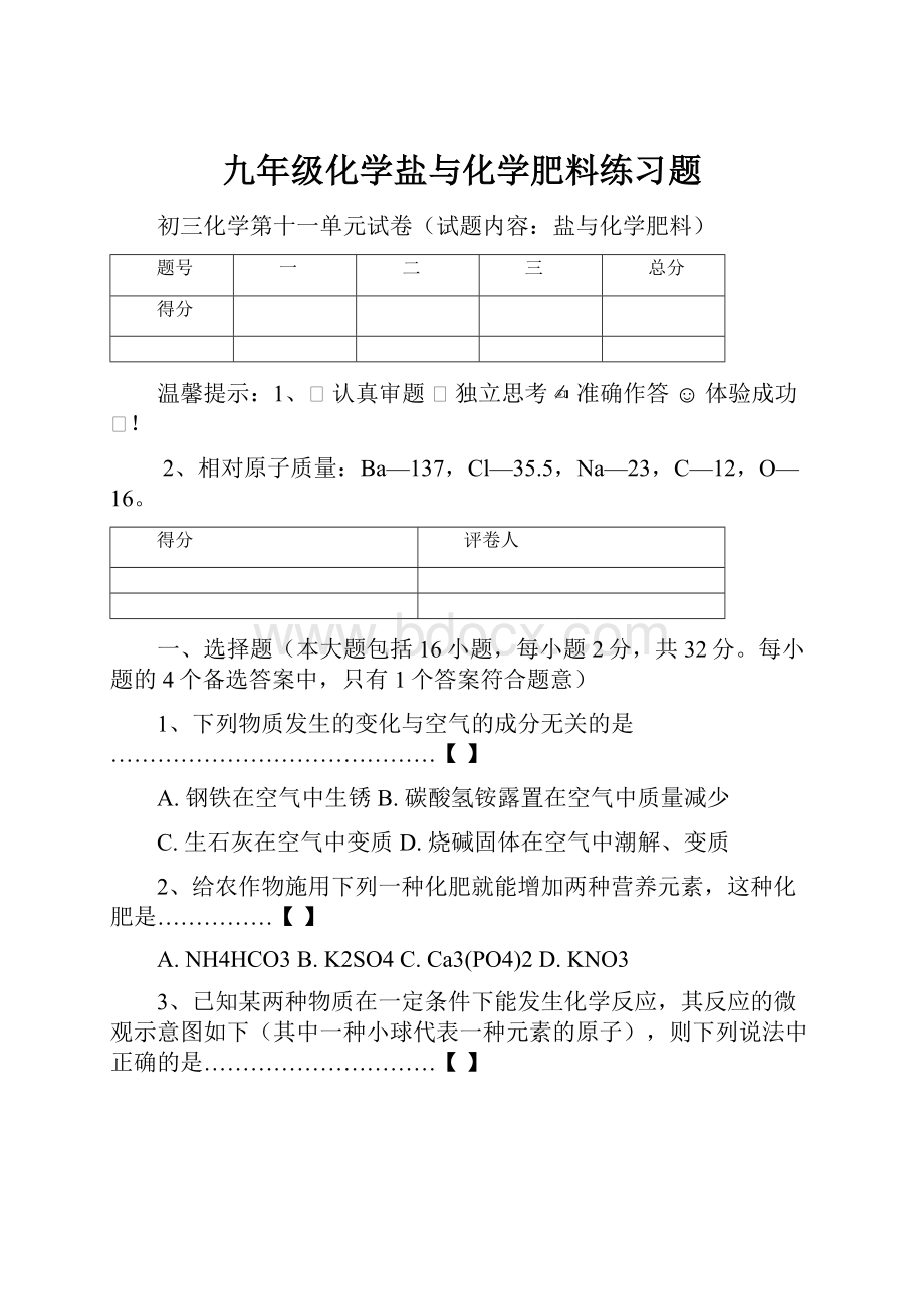 九年级化学盐与化学肥料练习题Word文件下载.docx_第1页