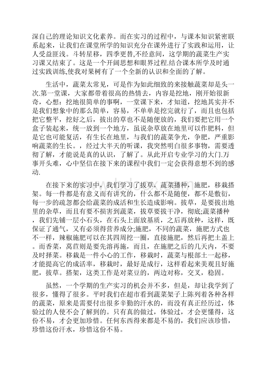 实习心得体会蔬菜实习心得.docx_第3页