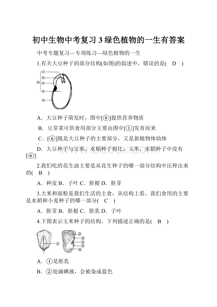 初中生物中考复习3绿色植物的一生有答案.docx