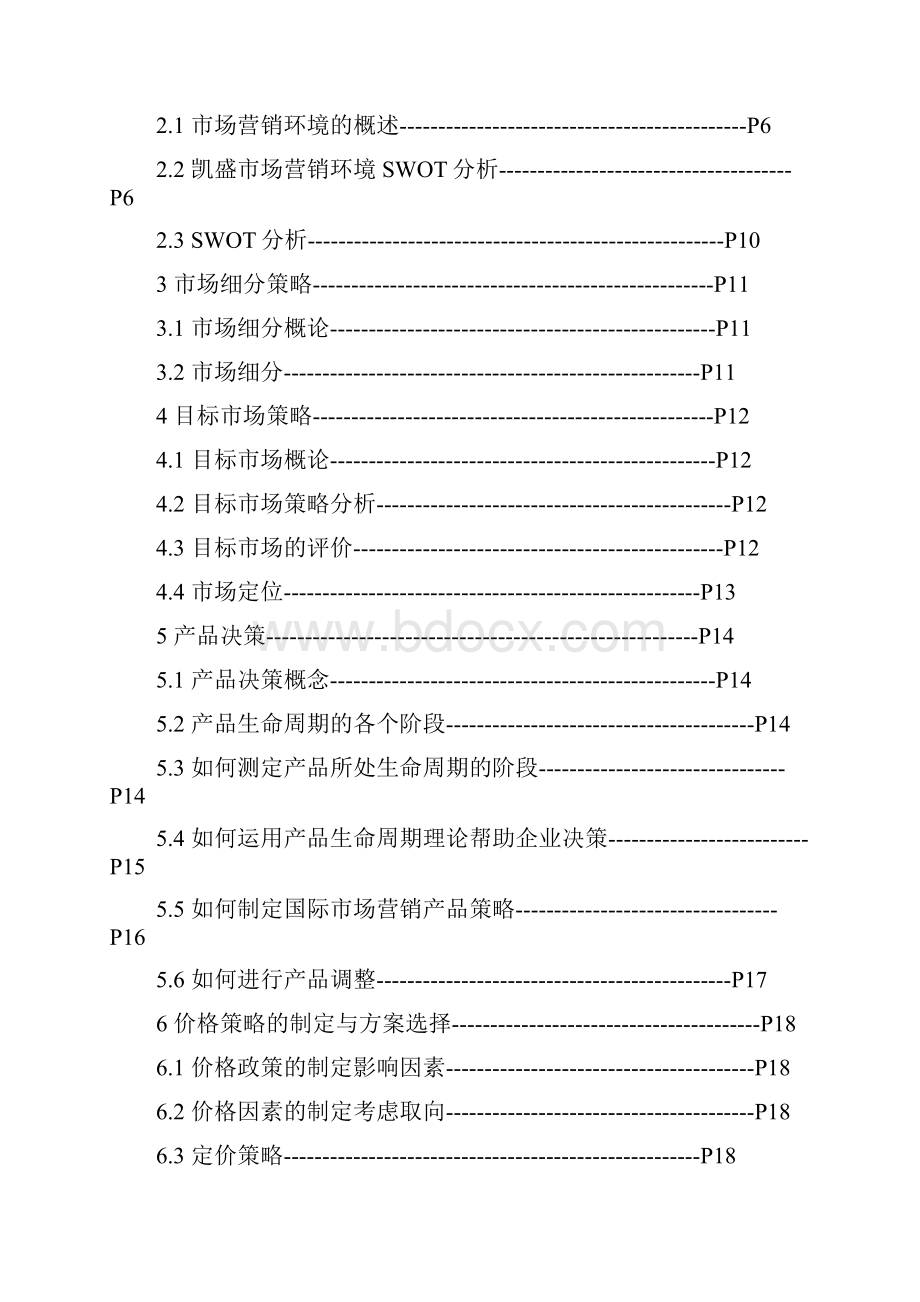 凯盛国际市场营销策略方案研究报告Word文档格式.docx_第2页