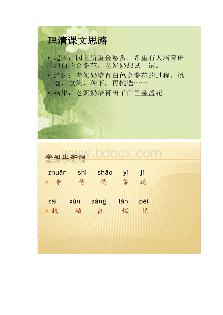 《绿手指》课件西师大版小学语文三年级下册课件百.docx_第3页