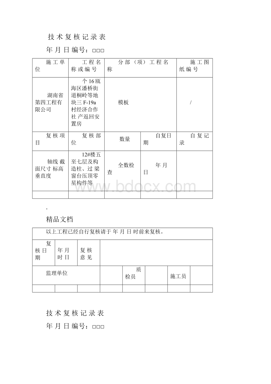 技术复核记录表模板.docx_第3页