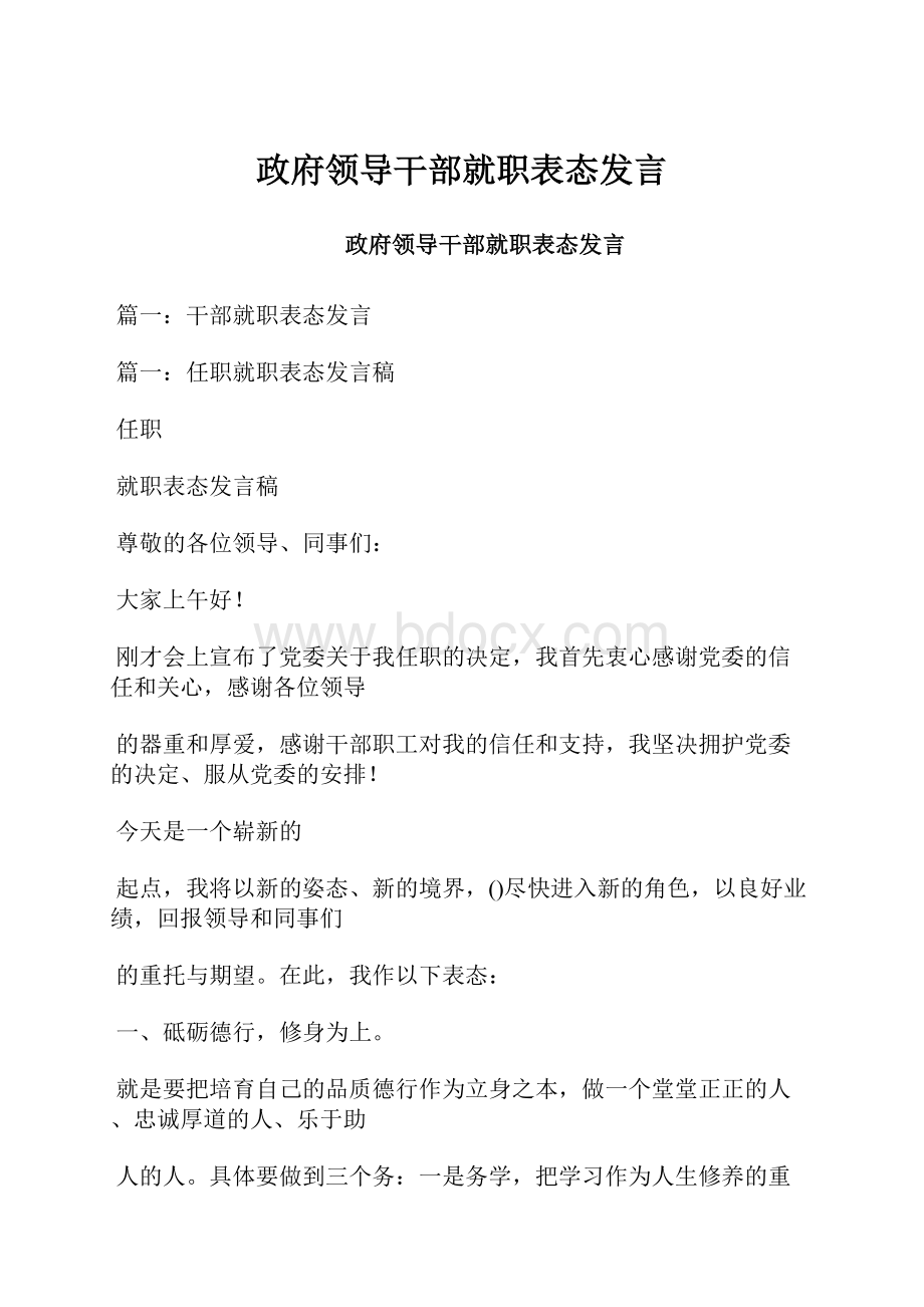 政府领导干部就职表态发言Word格式.docx