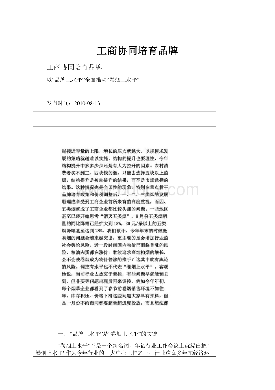 工商协同培育品牌文档格式.docx