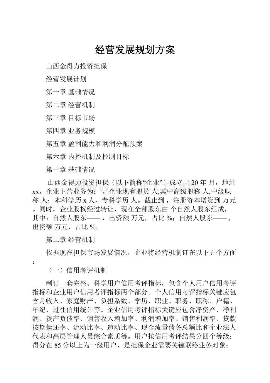 经营发展规划方案.docx