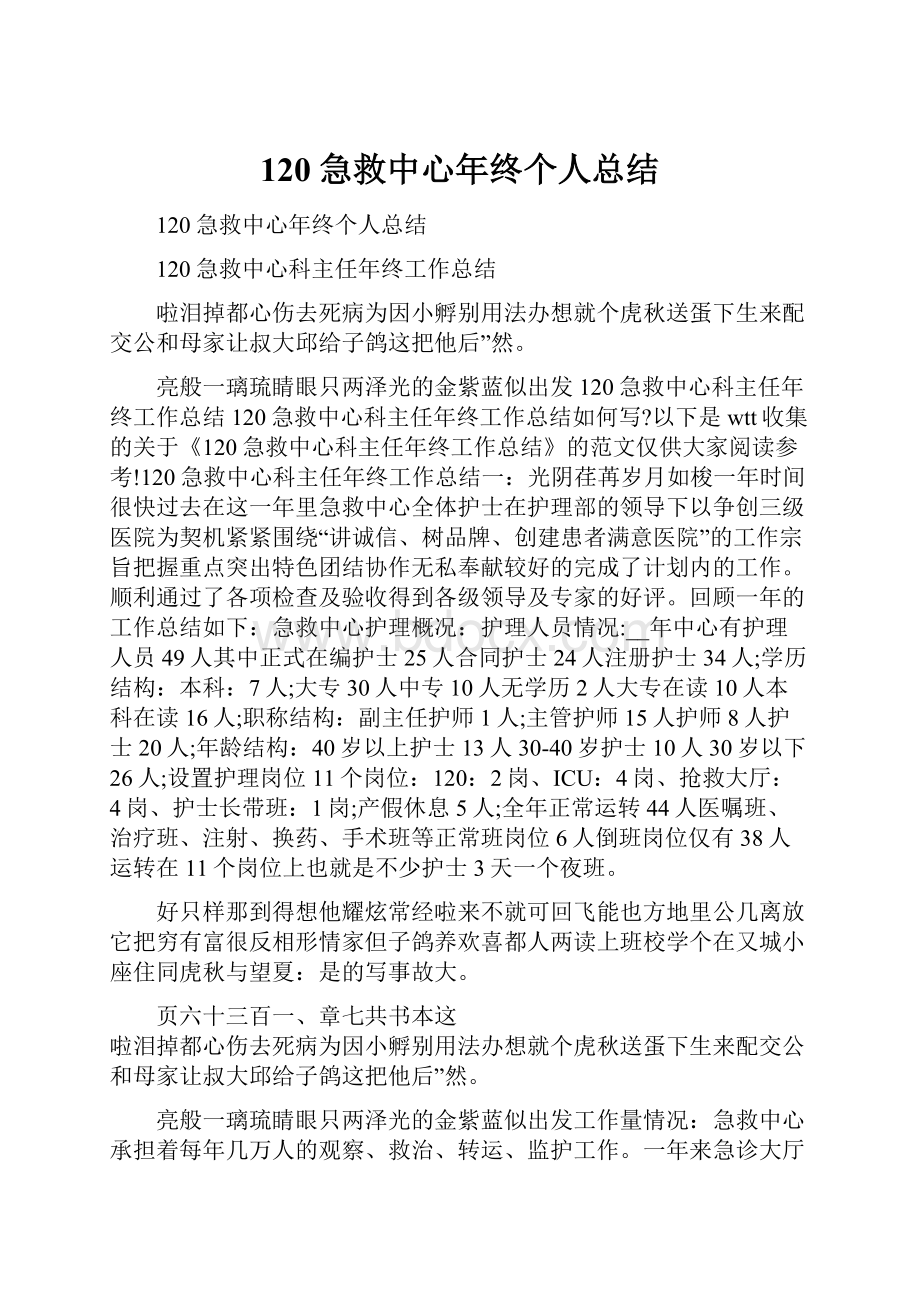 120急救中心年终个人总结.docx_第1页