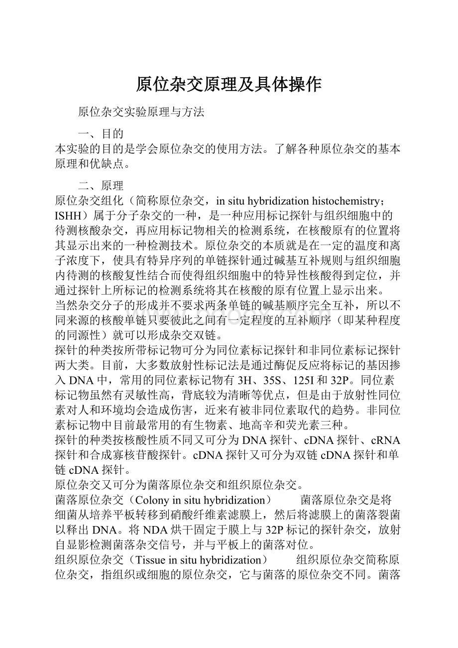 原位杂交原理及具体操作Word文档格式.docx