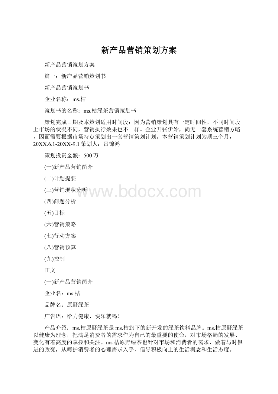 新产品营销策划方案Word文档下载推荐.docx