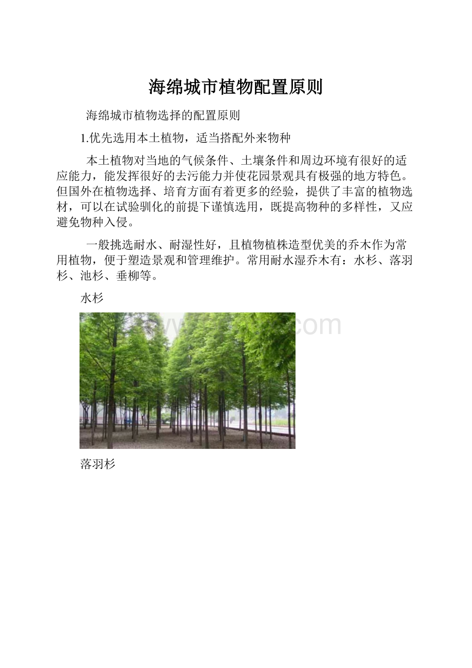 海绵城市植物配置原则文档格式.docx