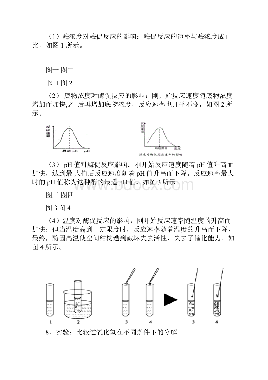 最新生物必修一第五章知识点总结全复习课程.docx_第2页