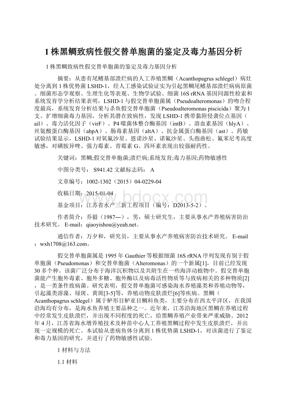 1株黑鲷致病性假交替单胞菌的鉴定及毒力基因分析Word文档格式.docx_第1页