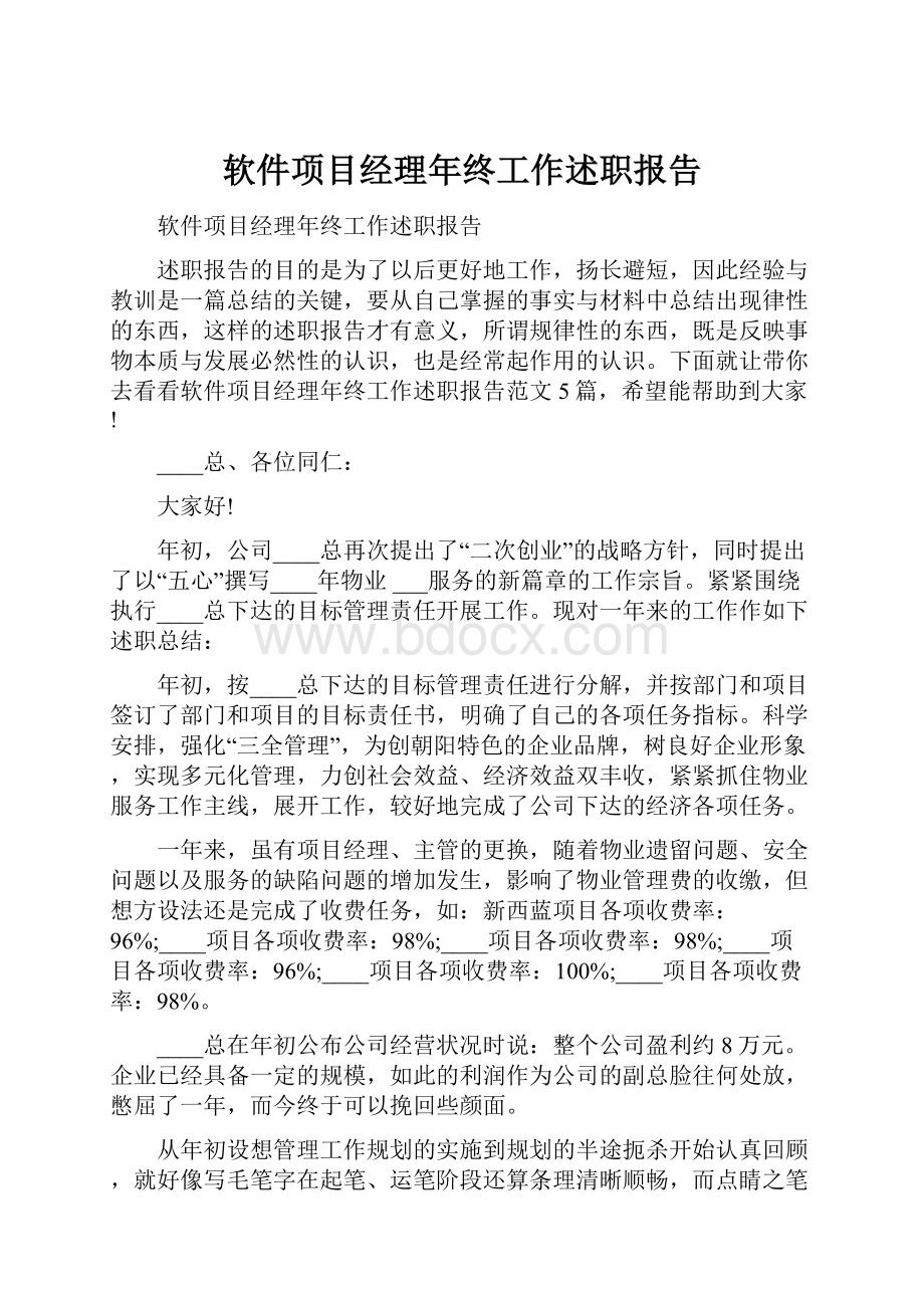 软件项目经理年终工作述职报告.docx_第1页