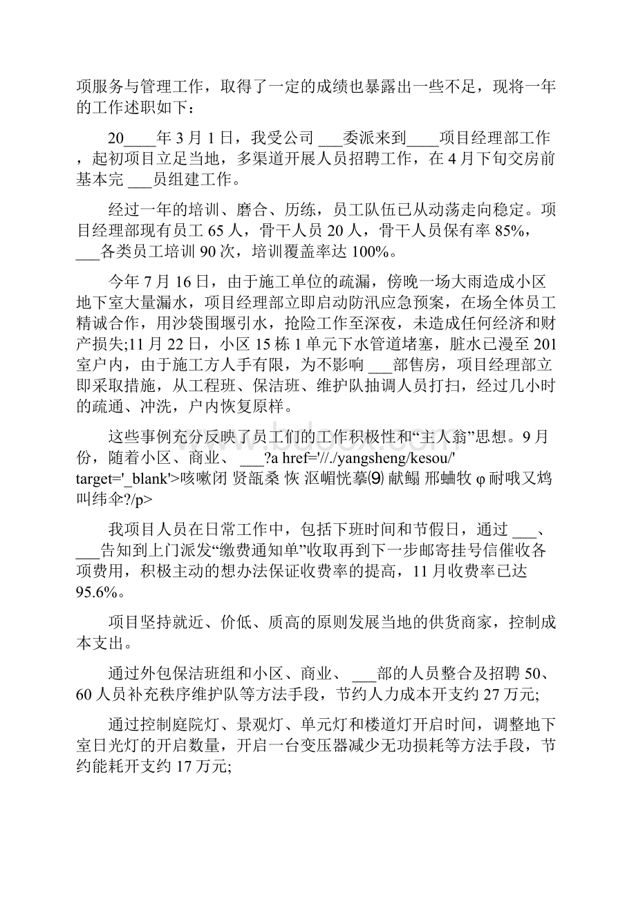 软件项目经理年终工作述职报告.docx_第3页