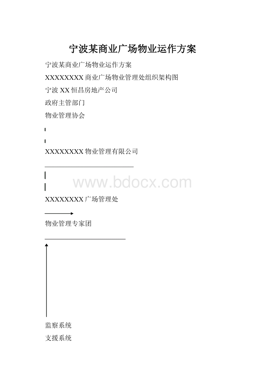 宁波某商业广场物业运作方案.docx