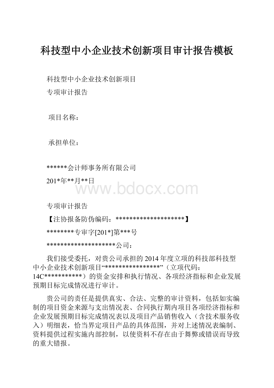 科技型中小企业技术创新项目审计报告模板Word格式.docx