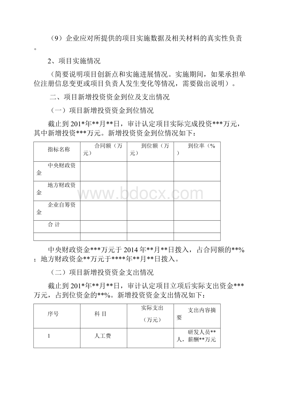 科技型中小企业技术创新项目审计报告模板.docx_第3页