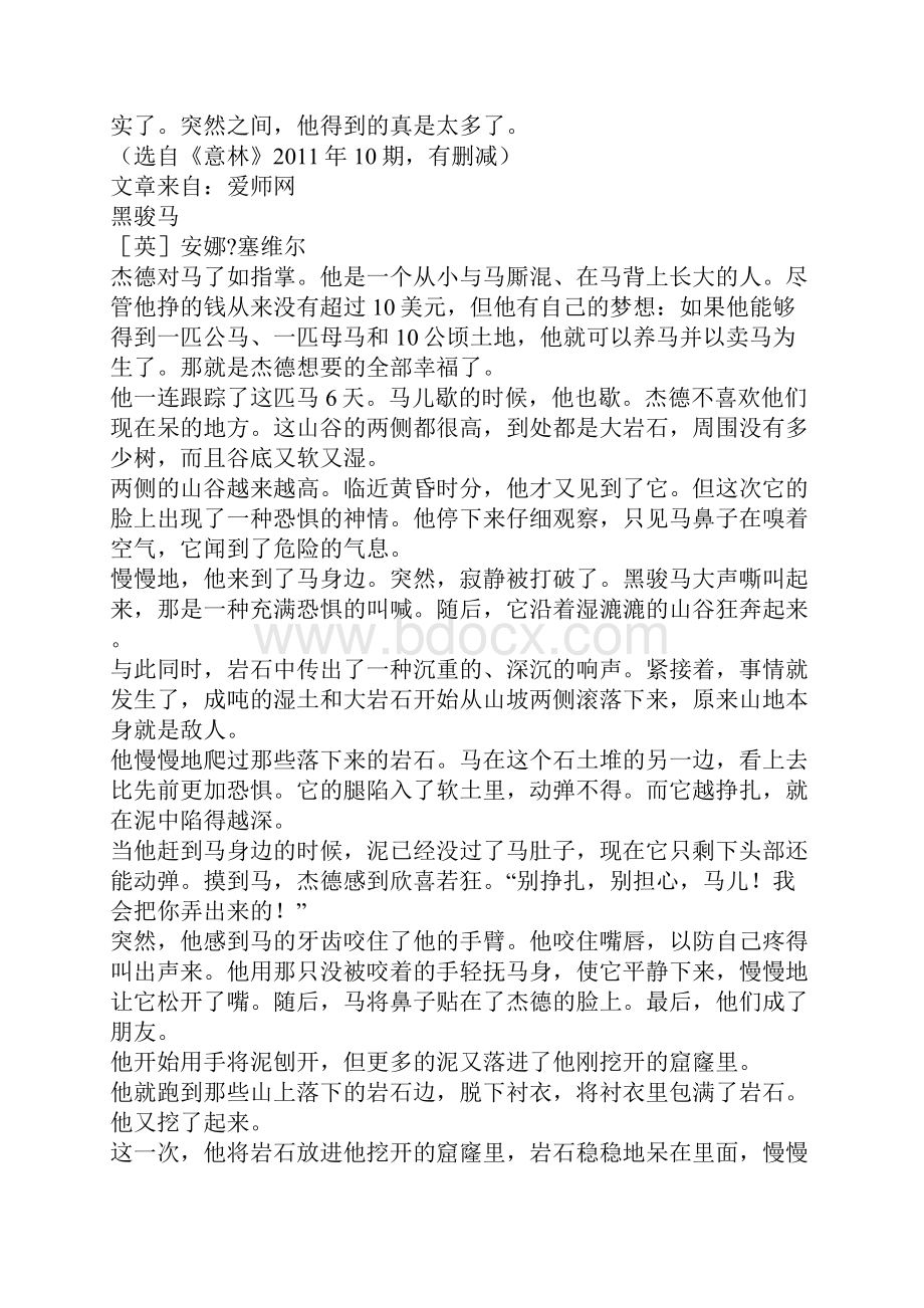 《黑骏马》阅读答案2.docx_第3页