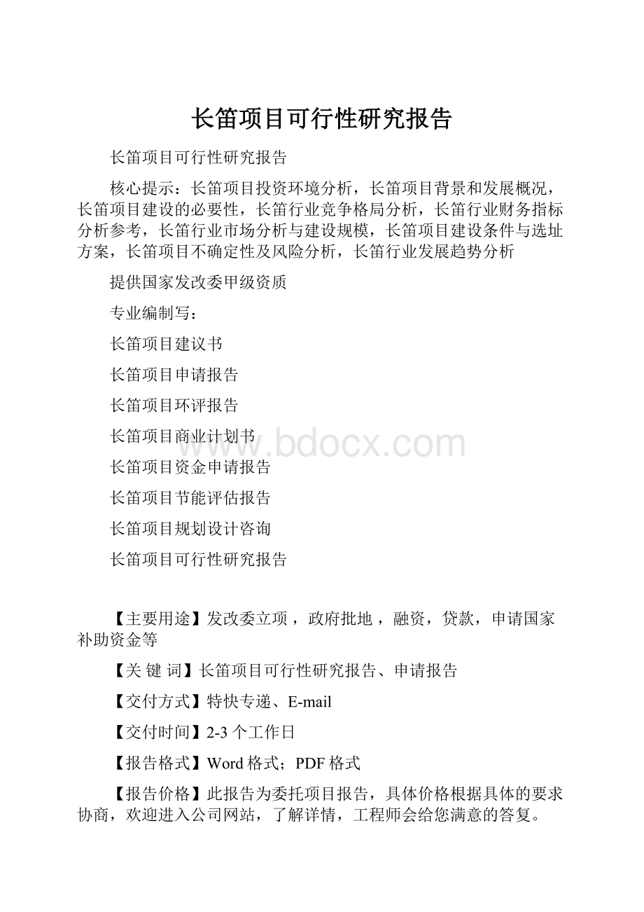 长笛项目可行性研究报告.docx_第1页