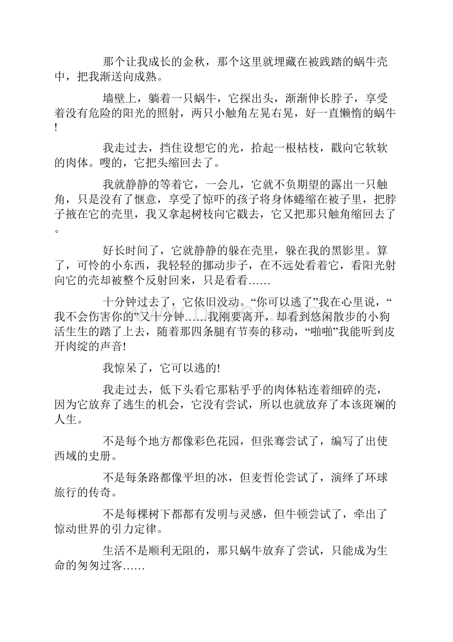 以尝试为题的作文高三作文尝试五篇精选.docx_第3页