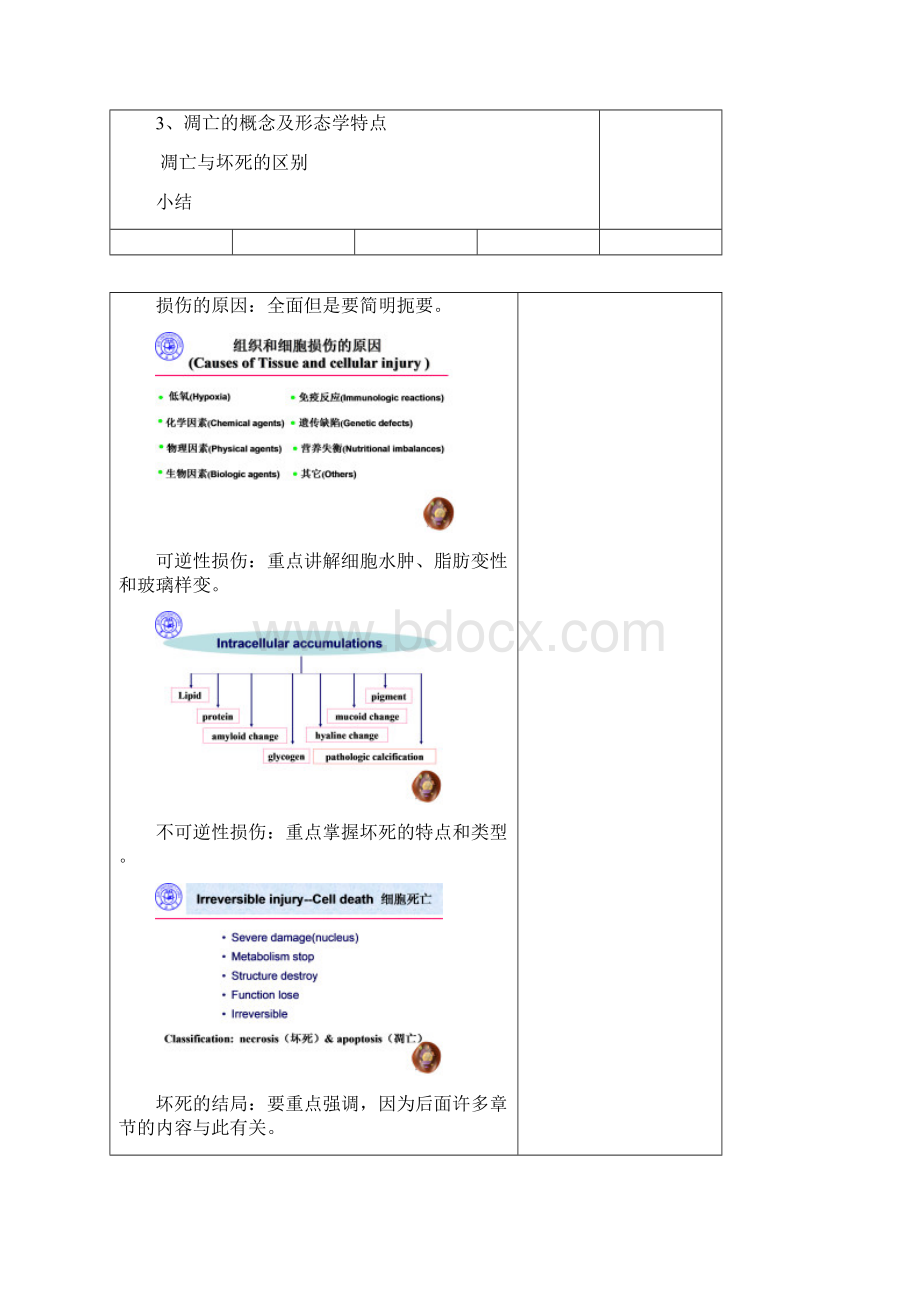 细胞和组织的适应和损伤吉林大学基础医学院.docx_第2页