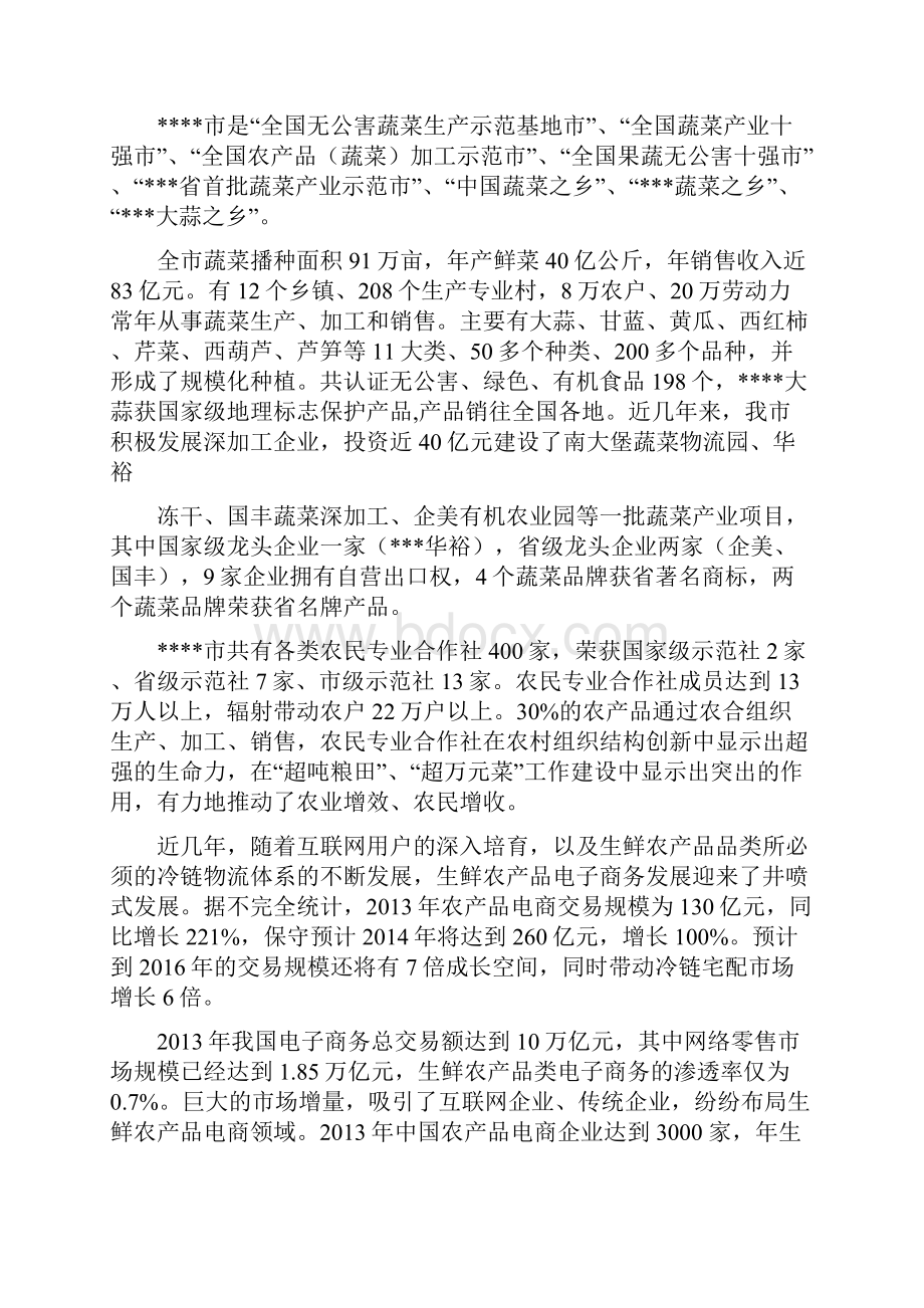 农村电商工程商业计划书农村电子商务综合示范工程立项书.docx_第3页