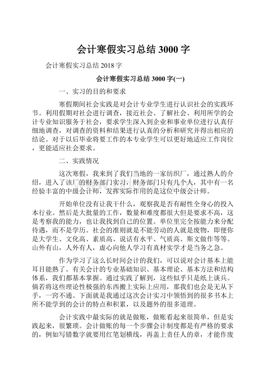 会计寒假实习总结3000字.docx