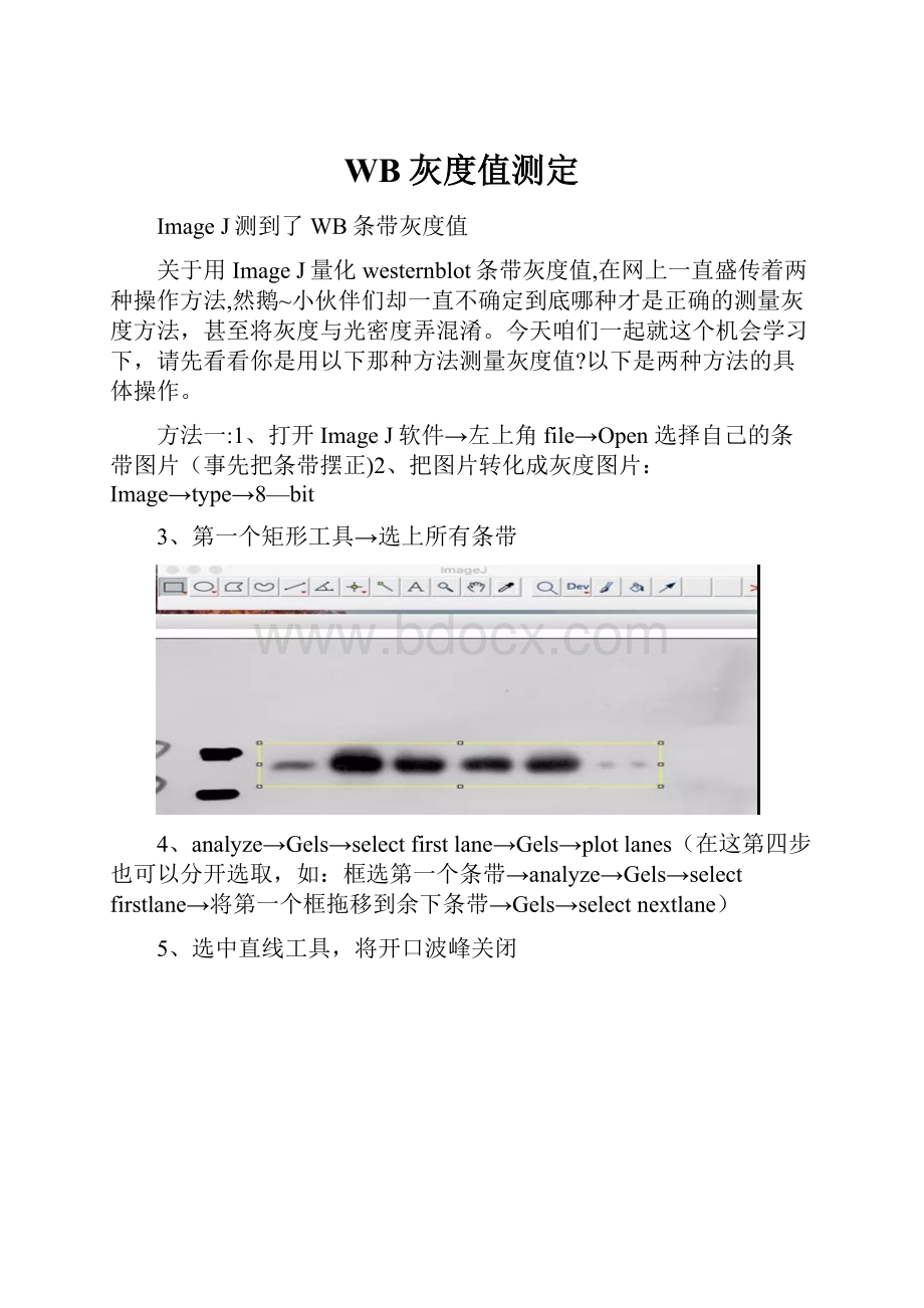 WB灰度值测定.docx