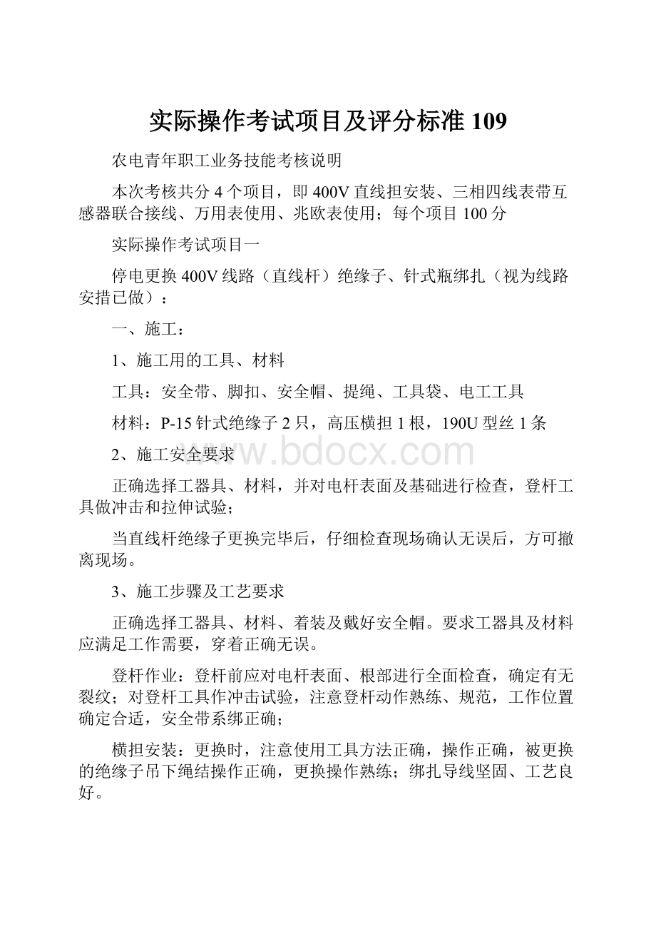 实际操作考试项目及评分标准109Word文档格式.docx