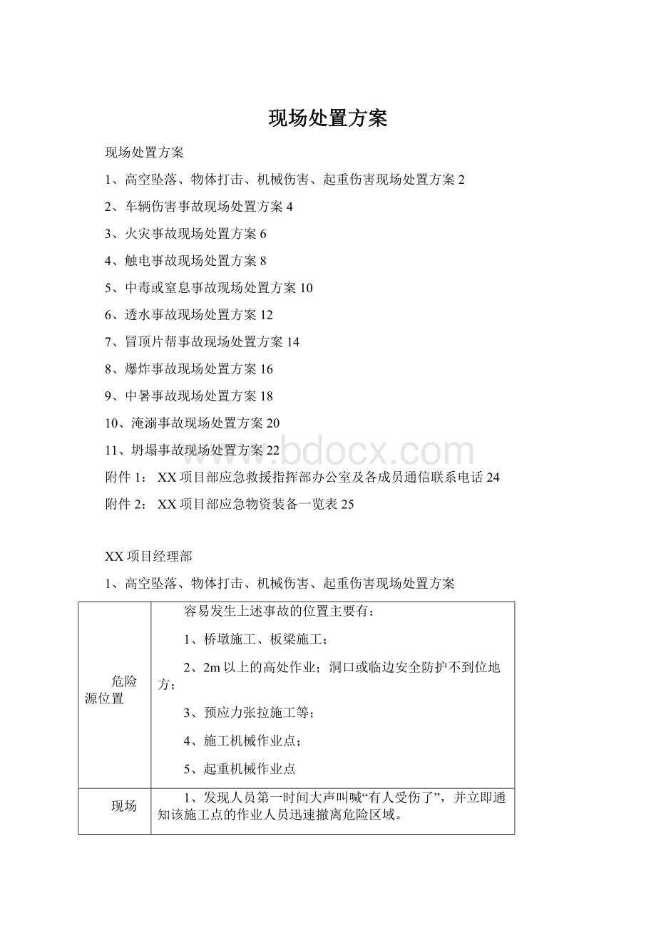 现场处置方案.docx_第1页