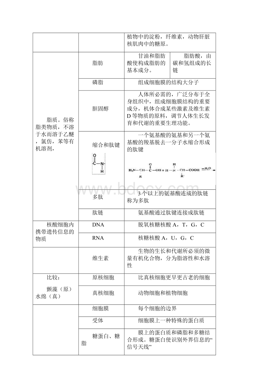 高三生物综合基本概念一览表.docx_第3页