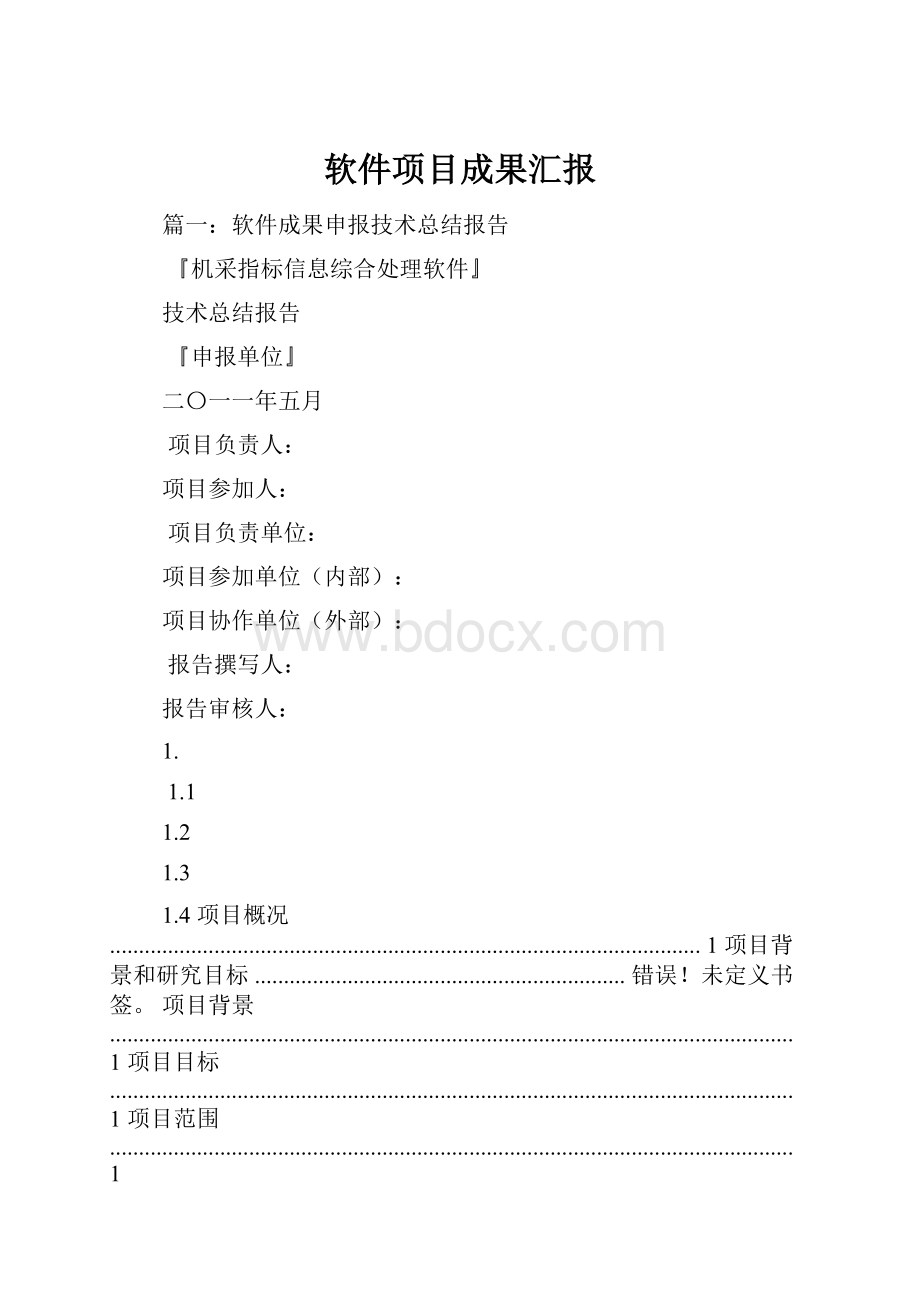 软件项目成果汇报Word格式.docx