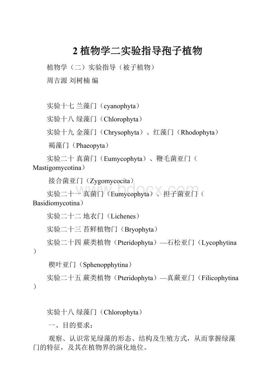 2植物学二实验指导孢子植物.docx