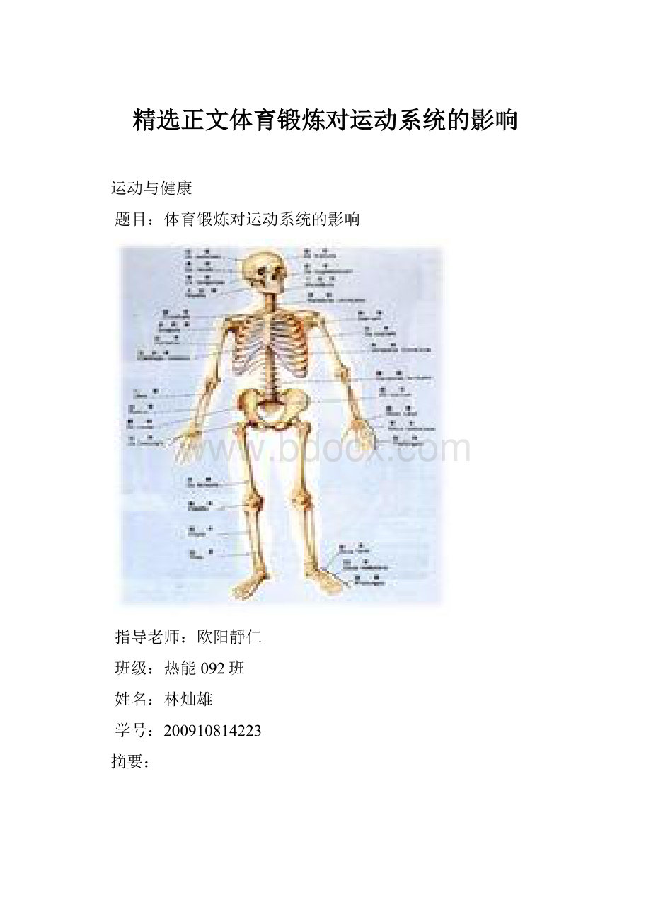 精选正文体育锻炼对运动系统的影响Word文件下载.docx